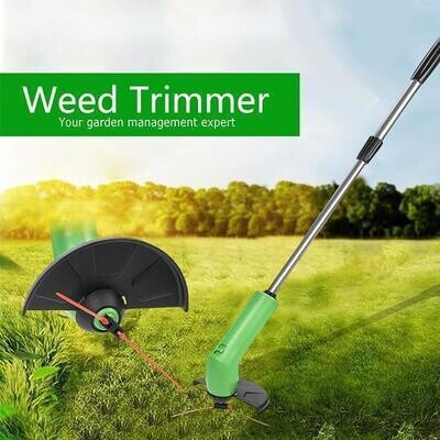 Trimmer for lawn