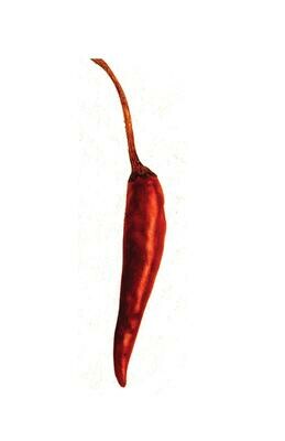 Chile De Arbol 100 gr