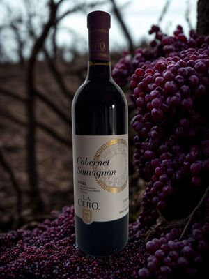 LA Cetto Cabernet Sauvignon 2021