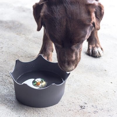 Pet Bowls