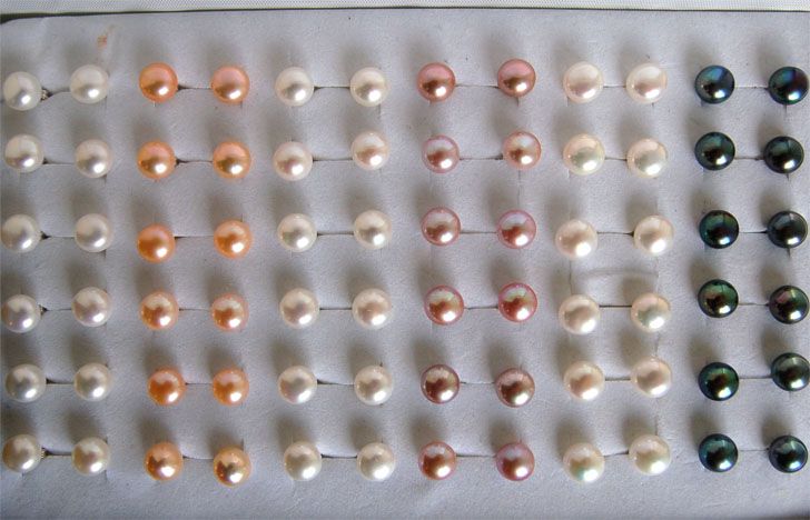 8mm stud earrings- Assorted colors
