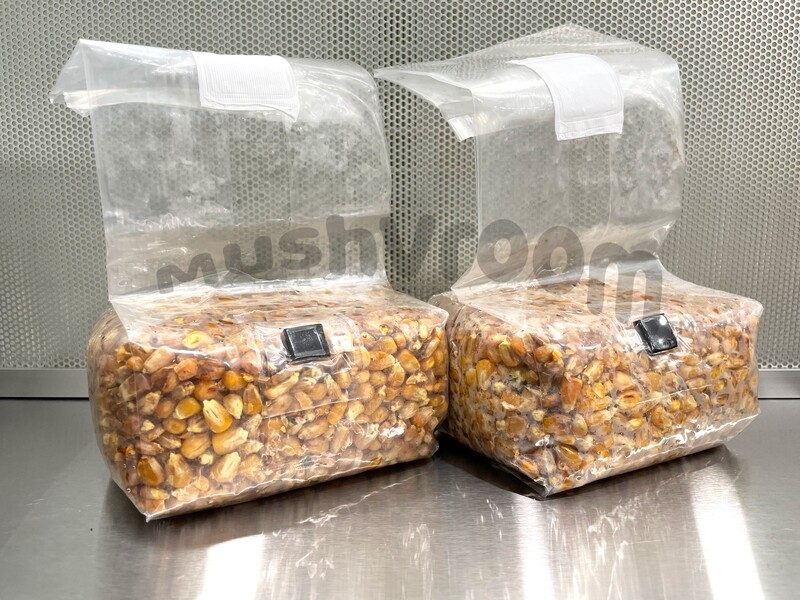 Sterilized Grain Bags - Corn