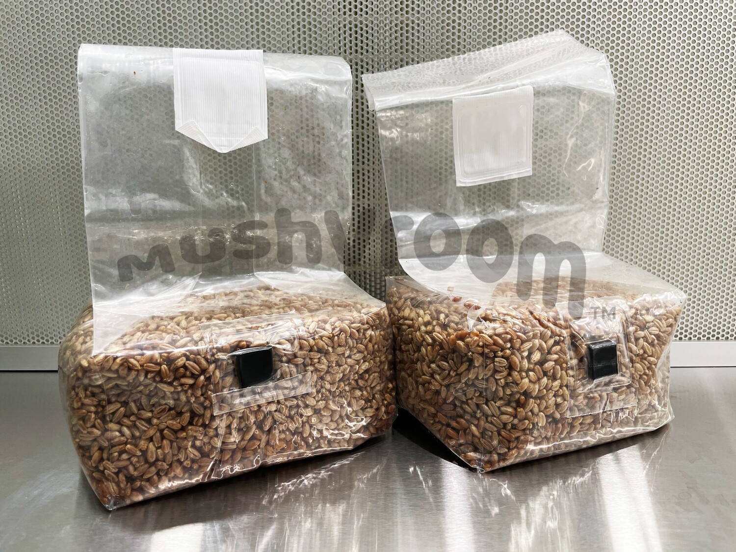 Sterilized Grain Bags - Rye Berry