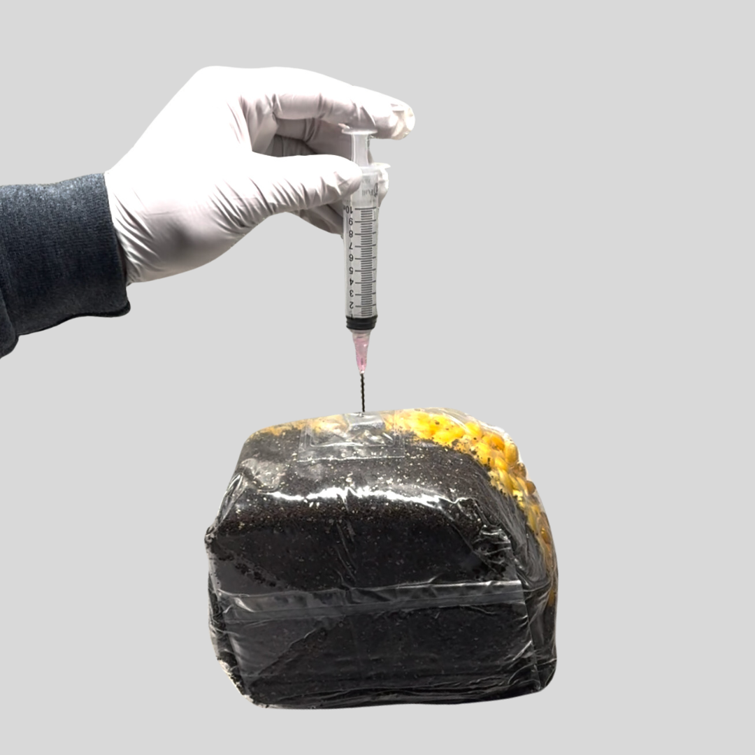 LIMITED EDITION DEAL - ALL IN ONE KIT