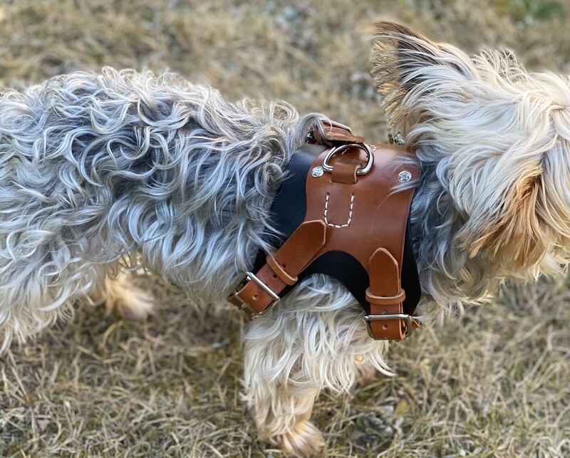Dog harness &quot;Ljubica&quot;