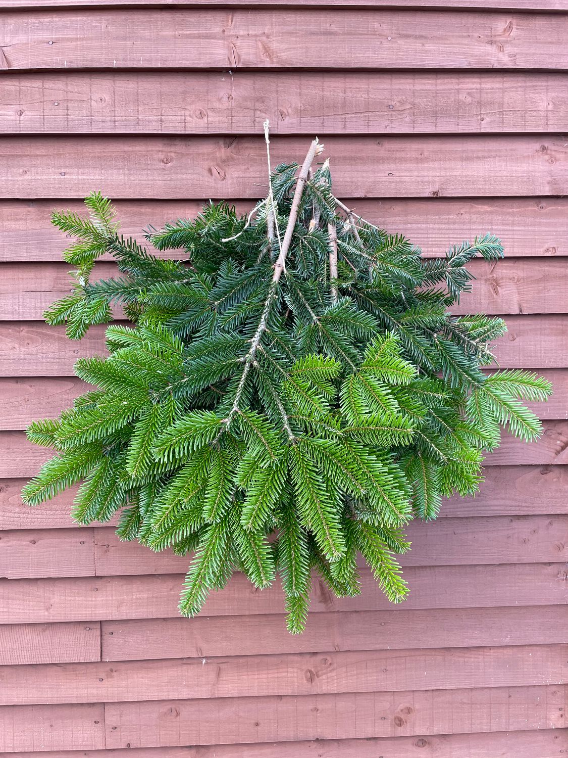 Bundle of Branches