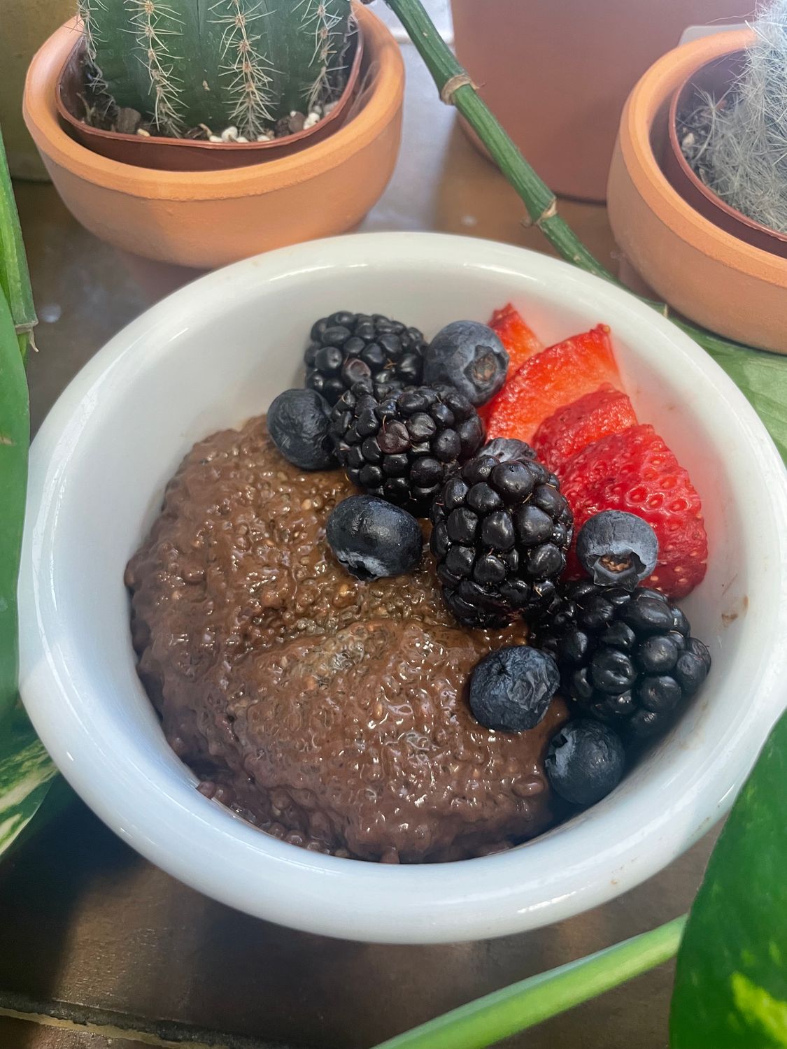 Chia Pudding