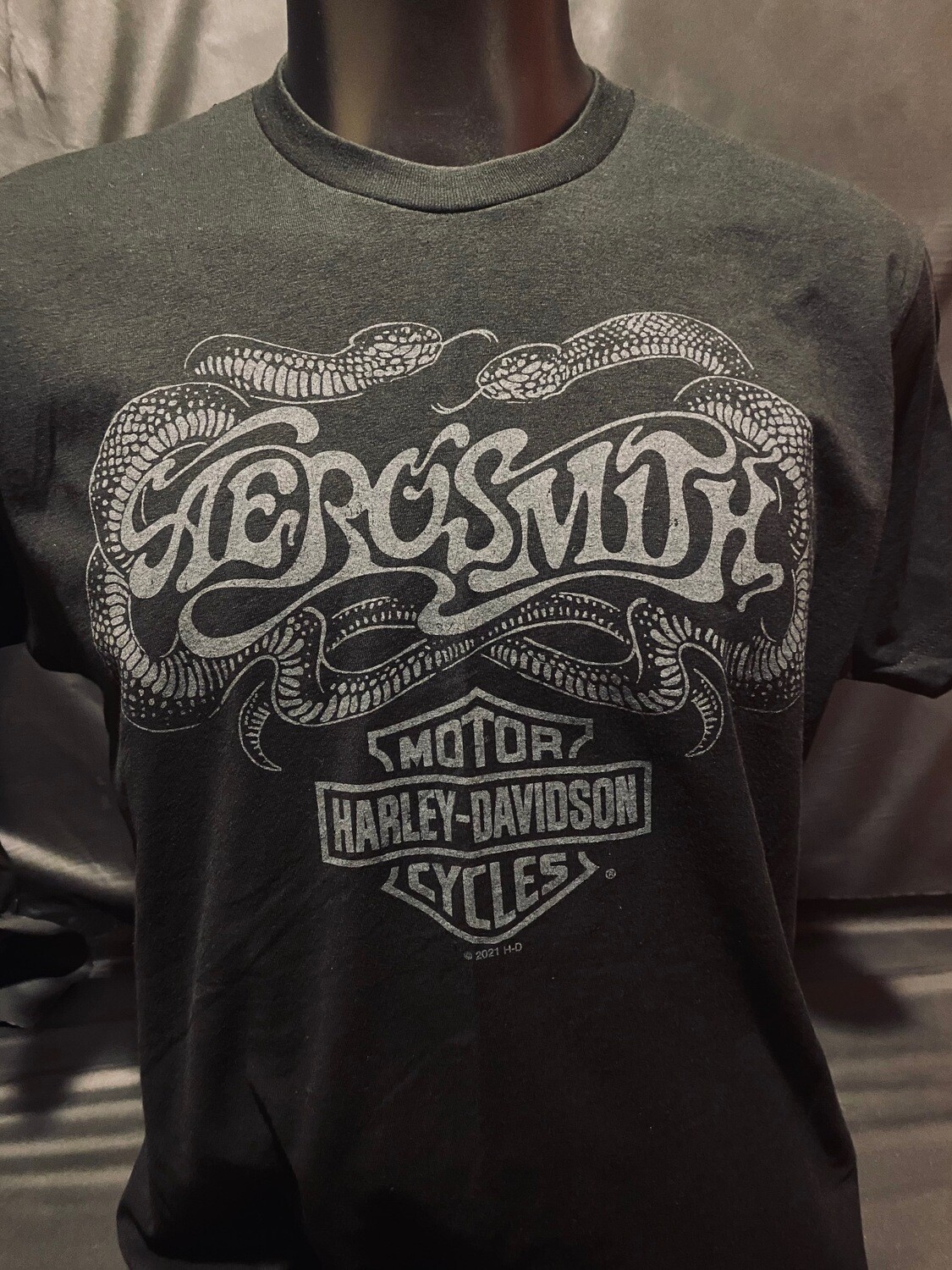 Aerosmith Toxic Twins at Wild Prairie H-D
