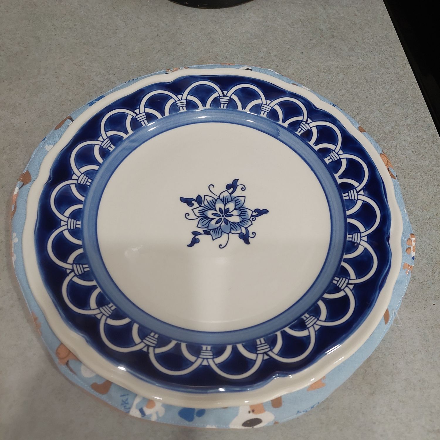 Plate Cozy