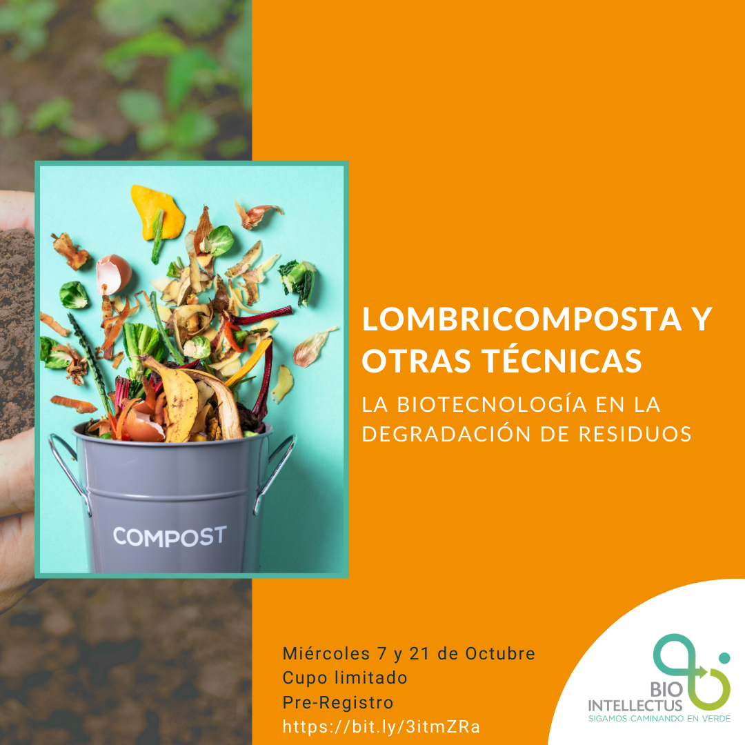 Lombricomposta y otras técnicas