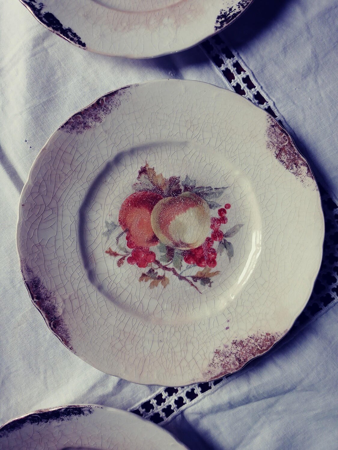 6 Vintage Decorative Fruit Plate Collection