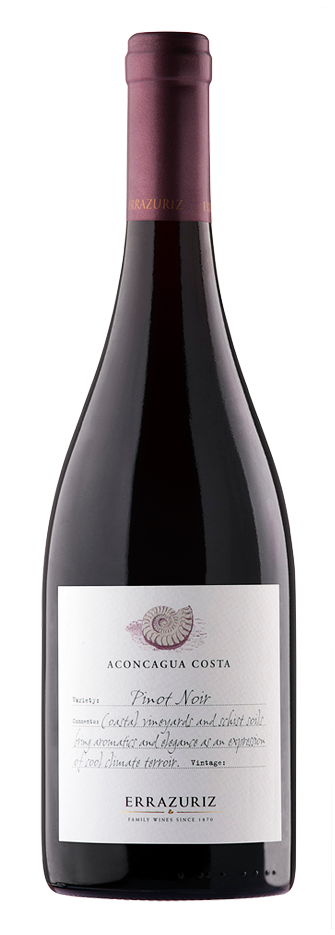 Aconcagua Costa Pinot Noir
2019 Aconcagua Costa Pinot Noir
2019