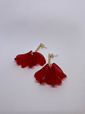 Pendientes