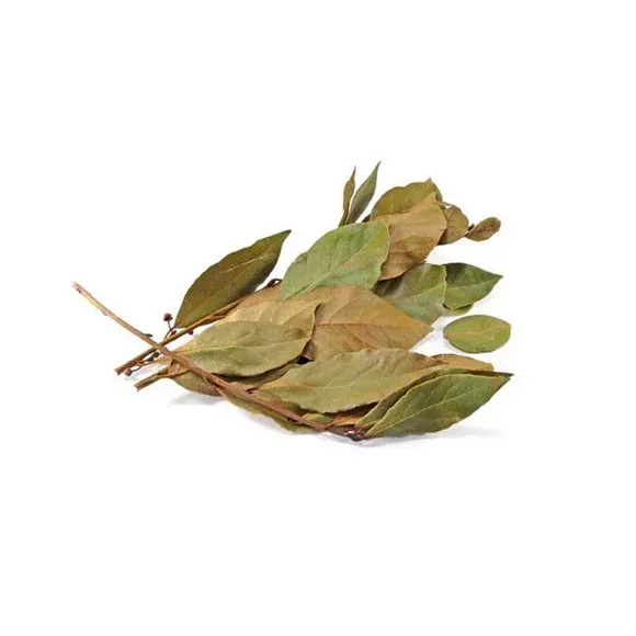 Hoja de Aguacate 10g