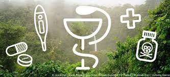 Urwaldapotheke Tropische Heilpfanzen