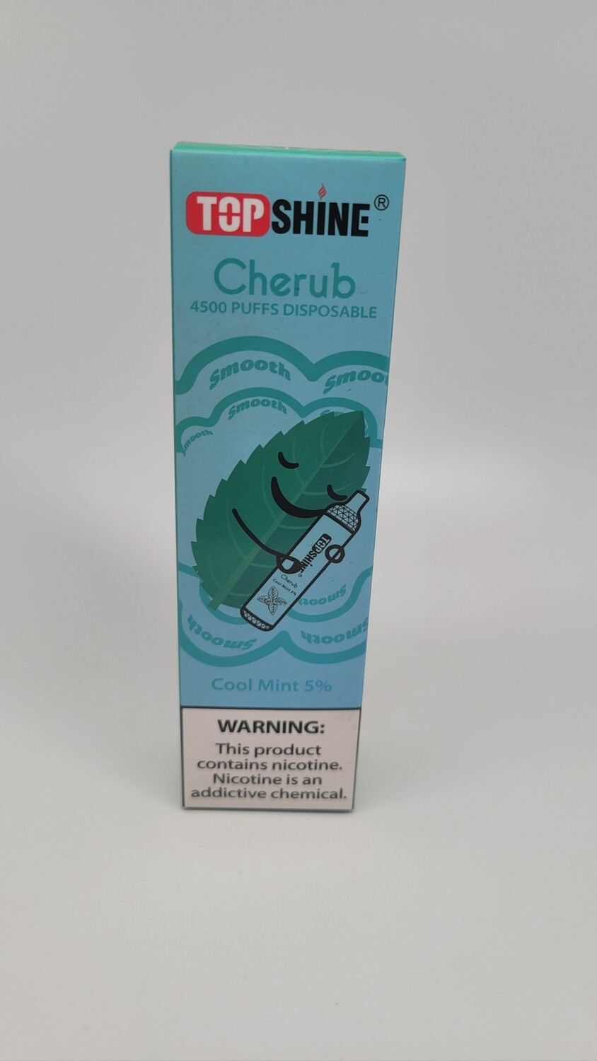 Top Shine Disposable Cool Mint