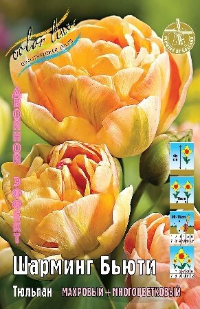 Тюльпан Шарминг Бьюти, 2й эффект (DLT), [11/12], { Tulipa Charming Beauty }