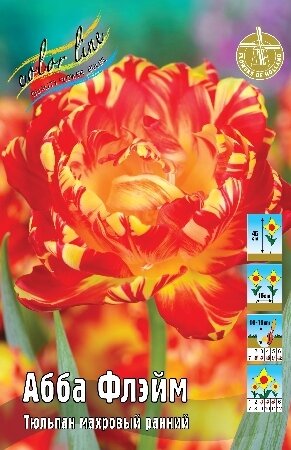 Тюльпан Абба Флэйм, махр.ранн., [11/12], { Tulipa Abba Flame }