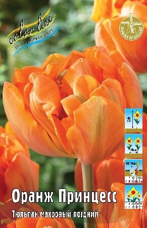 Тюльпан Оранж Принцесс, махр.поздн, [11/12], { Tulipa Orange Princess }