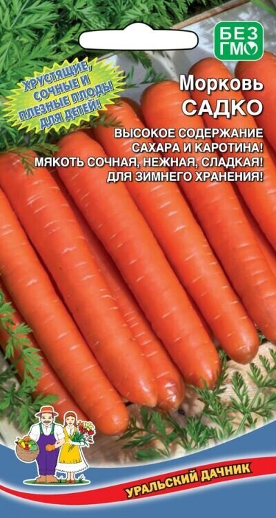 Морковь Садко  !!!