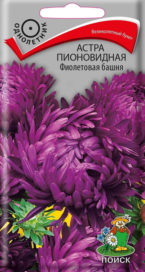 Астра Фиолетовая башня пионовидная 0,3гр П+ Ц