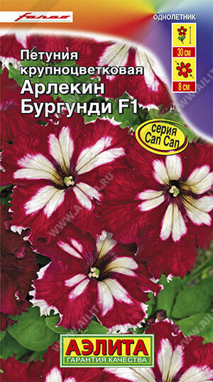 Петуния Арлекин Бургунди крупноцв. Аэ Ц