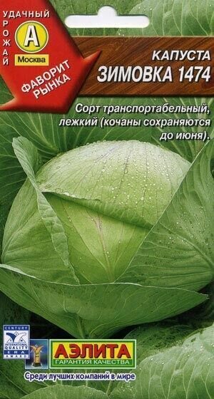 Капуста б/к Зимовка (0,5 гр.)