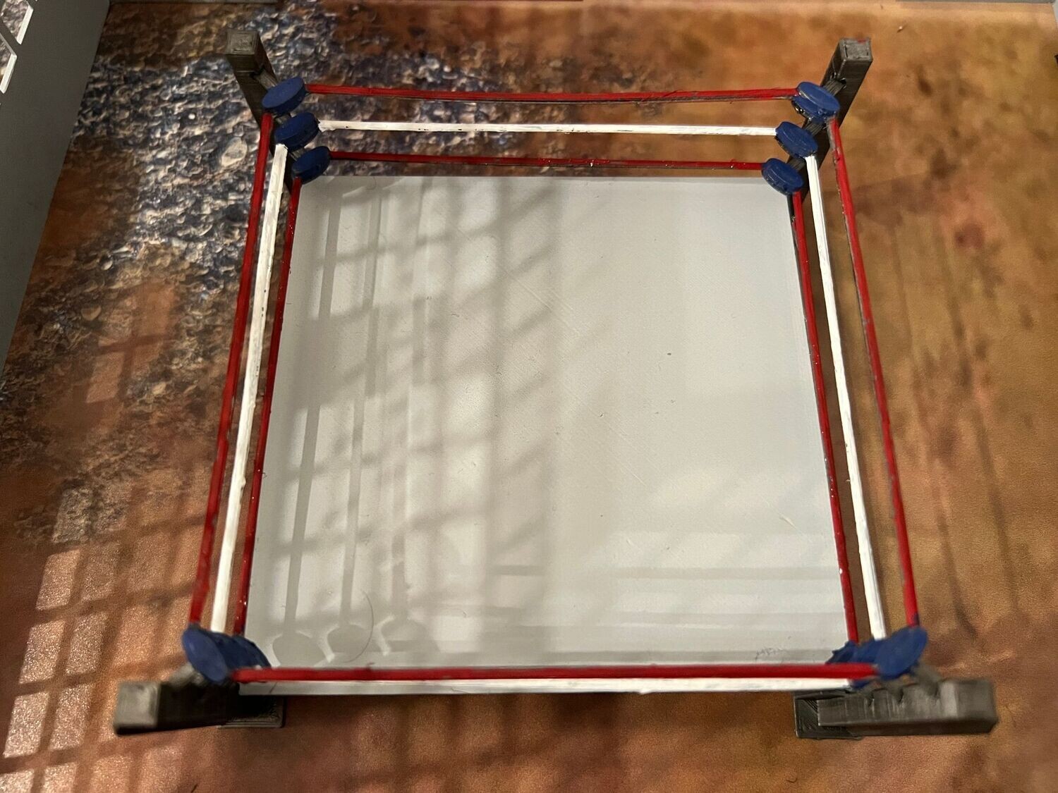 Wrestling/Box Ring