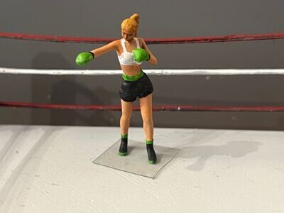 Boxerin