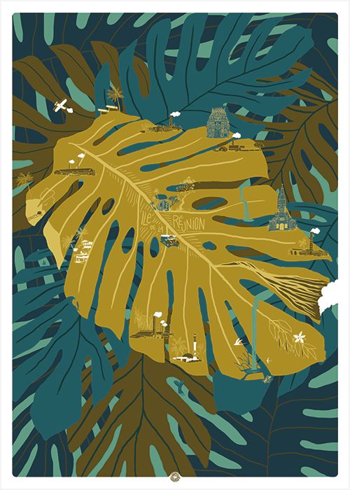 MONSTERA