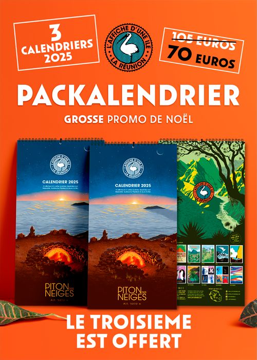 PACK 3 CALENDRIERS 2025