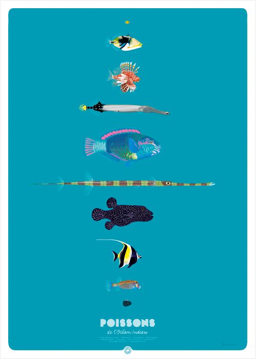 POISSONS DE L’OCÉAN INDIEN