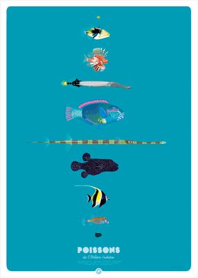 POISSONS DE L’OCÉAN INDIEN