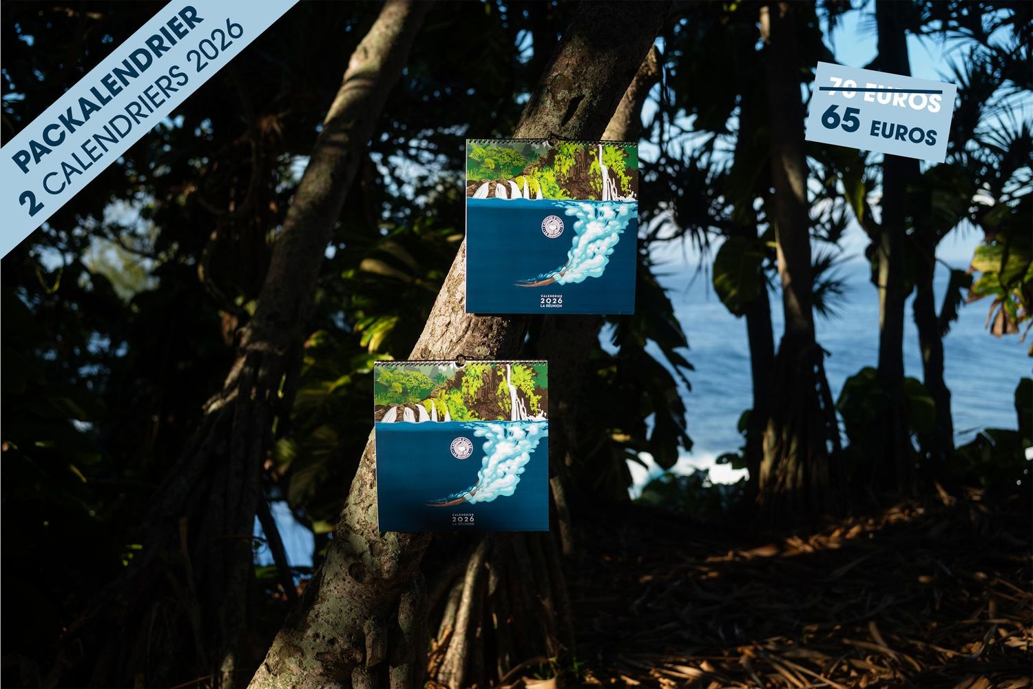 PACK DE 2 CALENDRIERS 2026