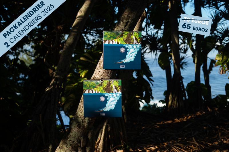 PACK DE 2 CALENDRIERS 2026