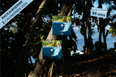 PACK DE 2 CALENDRIERS 2026