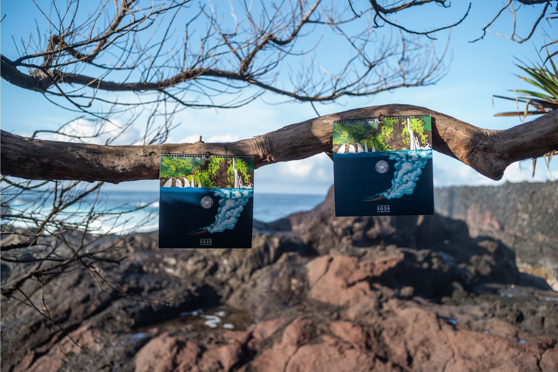 PACK DE 2 CALENDRIERS 2026