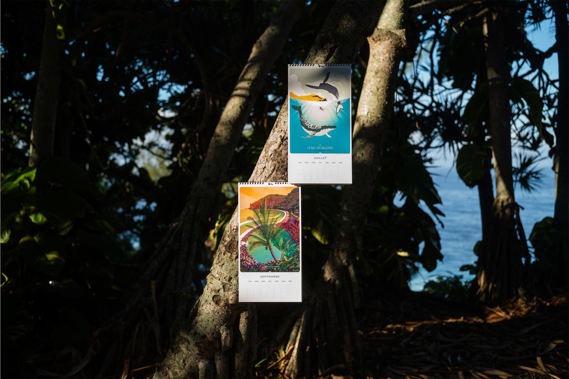 PACK 2 CALENDRIERS 2025