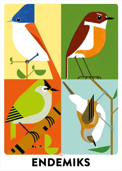 OISEAUX ENDEMIKS