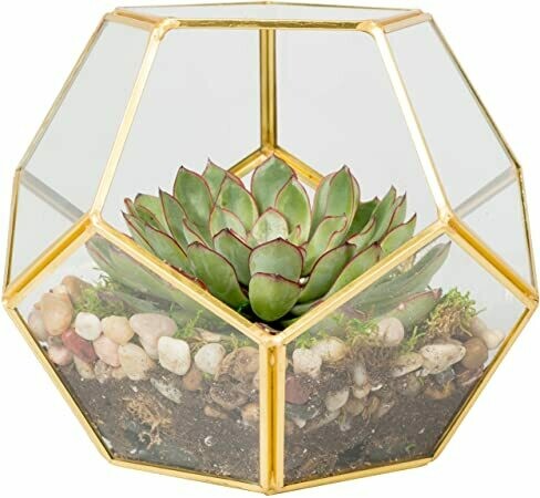 Octa Ball Shaped Golden Planter (Without Plant)