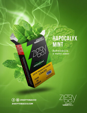 Hapocalyx Mint - ZIGGY