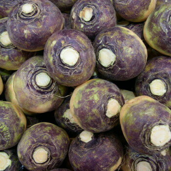 Kålrot
