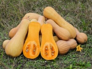 Gresskar - Butternut