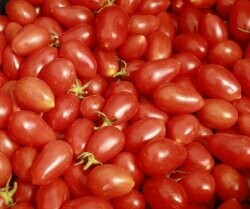 Perle-delikatesse Tomat