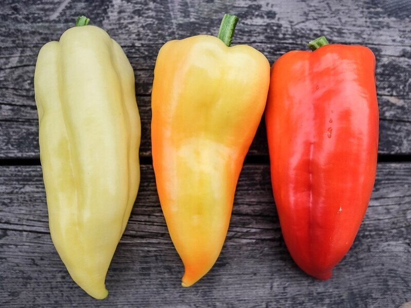 Paprika - Ferenc Tender