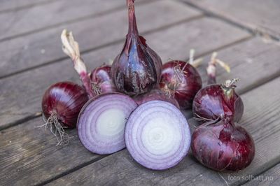 Kepaløk Rød - Robelja