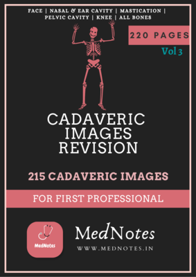 Cadaveric Images Revision (Vol 3) - For First Professional [E book]