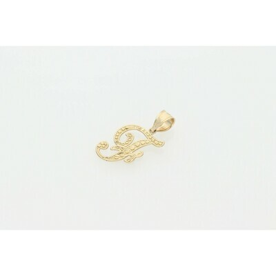 10 karat Gold Textured Letter 10 karat Gold Textured Letter