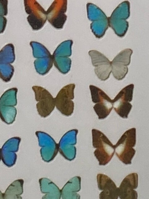 Butterfly Stickers