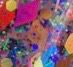 Confetti Craze